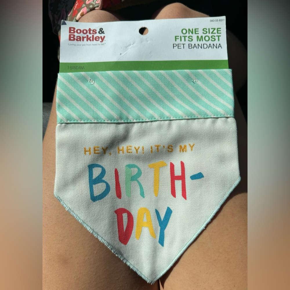 Birthday, Adoption Day dog Bandanna